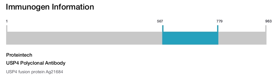 USP4 Polyclonal Antibody