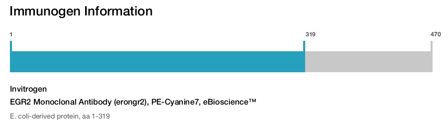 EGR2 Monoclonal Antibody (erongr2), PE-Cyanine7, eBioscience&trade;