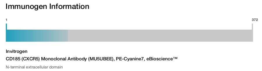 CD185 (CXCR5) Monoclonal Antibody (MU5UBEE), PE-Cyanine7, eBioscience™