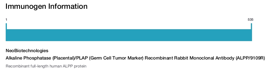 Alkaline Phosphatase (Placental)/PLAP (Germ Cell Tumor Marker) Recombinant Rabbit Monoclonal Antibody (ALPP/9109R)