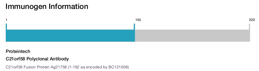 C21orf58 Polyclonal Antibody