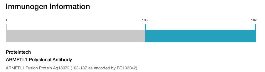 ARMETL1 Polyclonal Antibody