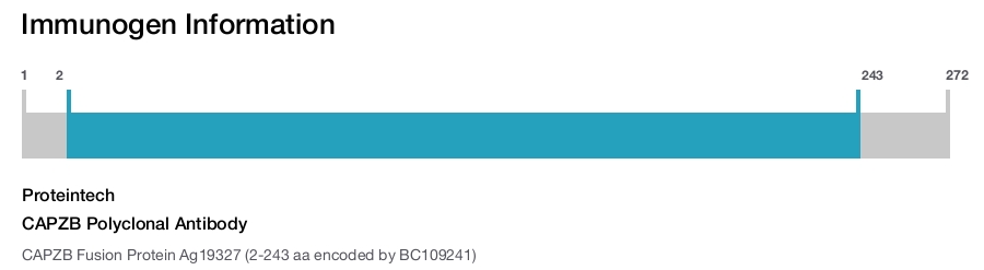 CAPZB Polyclonal Antibody