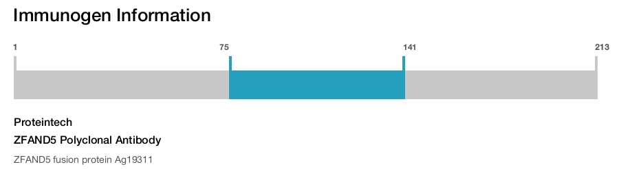 ZFAND5 Polyclonal Antibody