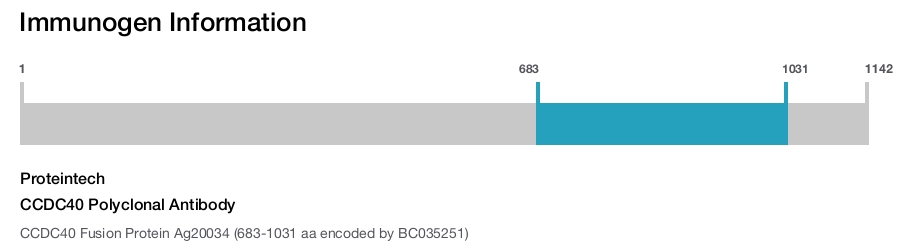 CCDC40 Polyclonal Antibody