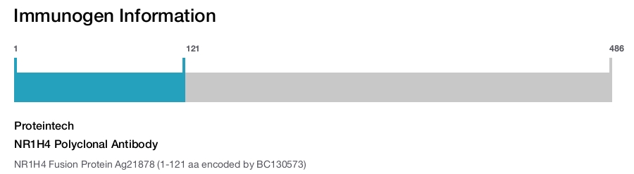 NR1H4 Polyclonal Antibody