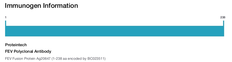 FEV Polyclonal Antibody