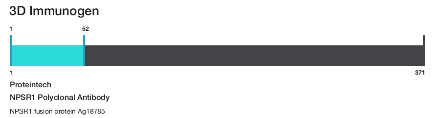 NPSR1 Polyclonal Antibody