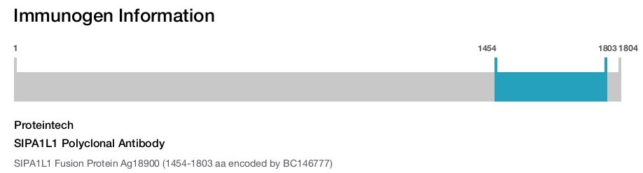 SIPA1L1 Polyclonal Antibody