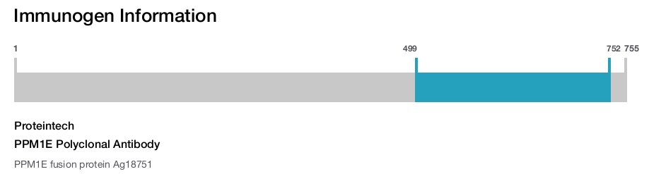 PPM1E Polyclonal Antibody