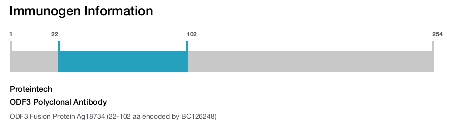 ODF3 Polyclonal Antibody