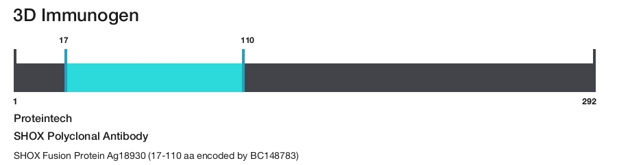 SHOX Polyclonal Antibody
