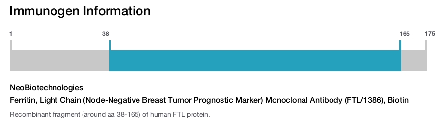 Ferritin, Light Chain (Node-Negative Breast Tumor Prognostic Marker) Monoclonal Antibody (FTL/1386), Biotin