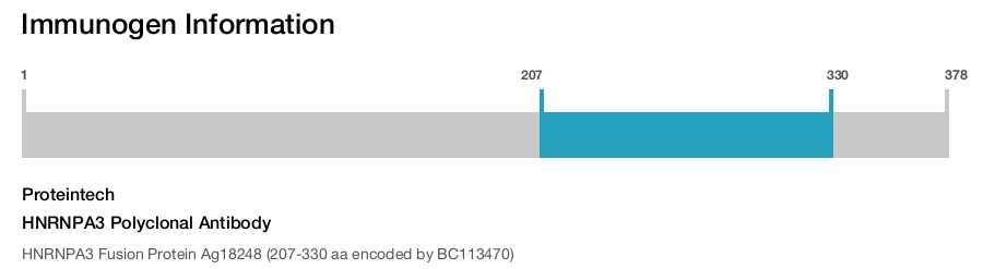 HNRNPA3 Polyclonal Antibody