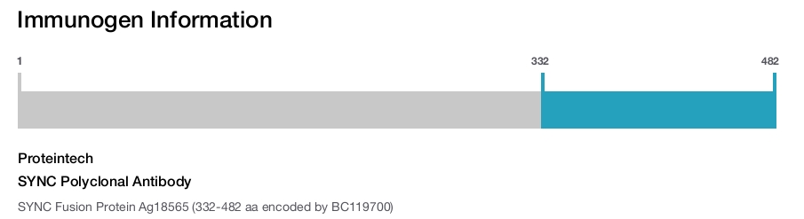 SYNC Polyclonal Antibody
