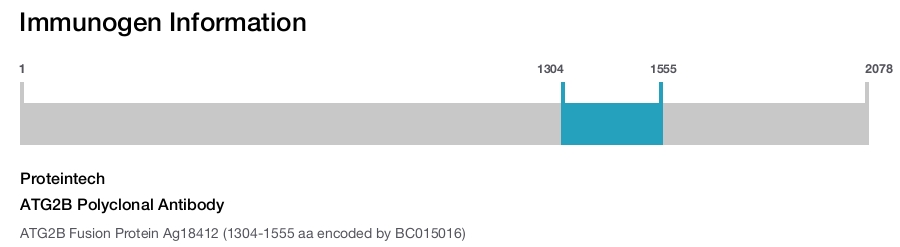ATG2B Polyclonal Antibody