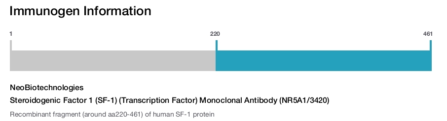 Steroidogenic Factor 1 (SF-1) (Transcription Factor) Monoclonal Antibody (NR5A1/3420)