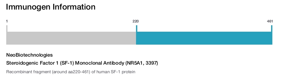 Steroidogenic Factor 1 (SF-1) Monoclonal Antibody (NR5A1, 3397)