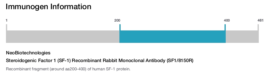 Steroidogenic Factor 1 (SF-1) Recombinant Rabbit Monoclonal Antibody (SF1/8150R)