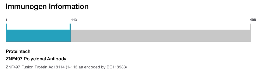 ZNF497 Polyclonal Antibody