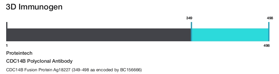 CDC14B Polyclonal Antibody