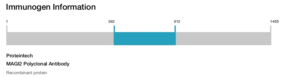 MAGI2 Polyclonal Antibody