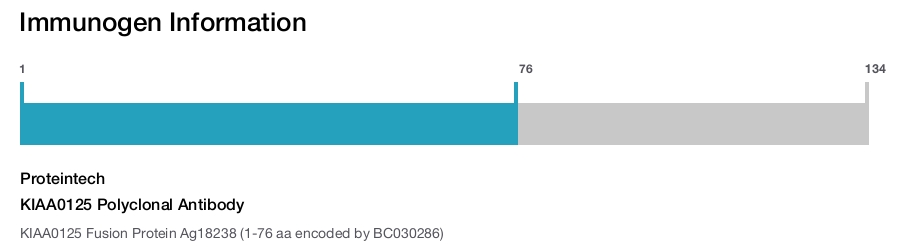 KIAA0125 Polyclonal Antibody