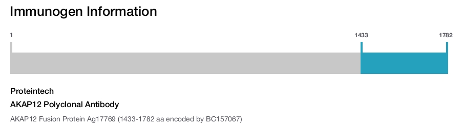 AKAP12 Polyclonal Antibody
