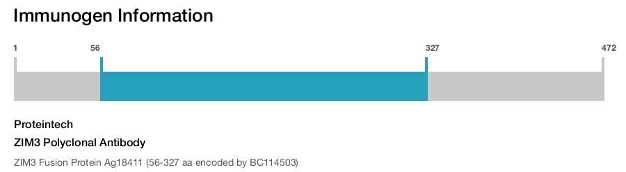 ZIM3 Polyclonal Antibody