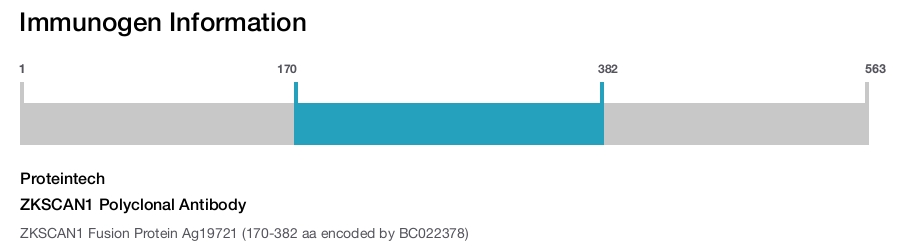 ZKSCAN1 Polyclonal Antibody