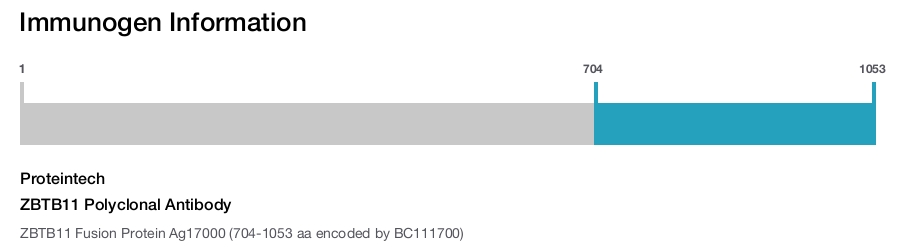 ZBTB11 Polyclonal Antibody