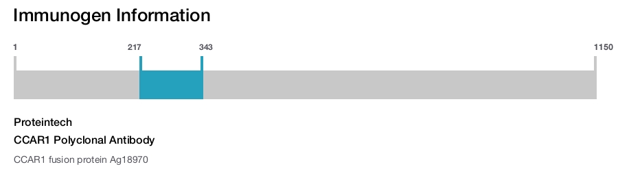 CCAR1 Polyclonal Antibody