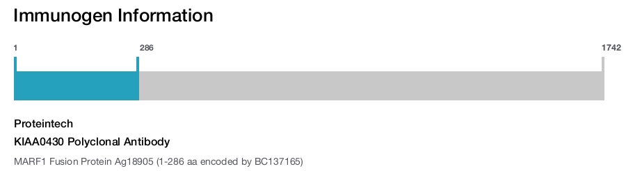 KIAA0430 Polyclonal Antibody