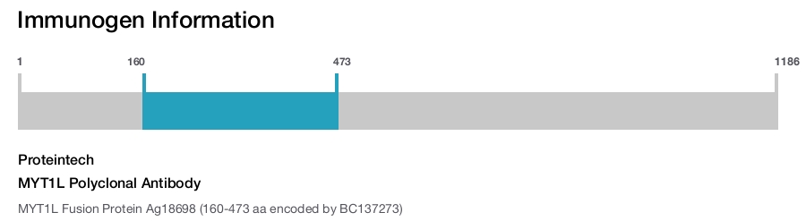 MYT1L Polyclonal Antibody