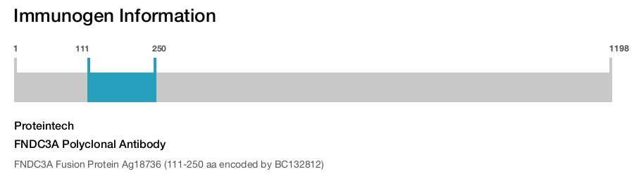 FNDC3A Polyclonal Antibody
