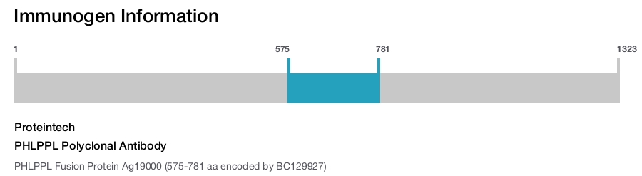 PHLPPL Polyclonal Antibody