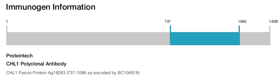 CHL1 Polyclonal Antibody