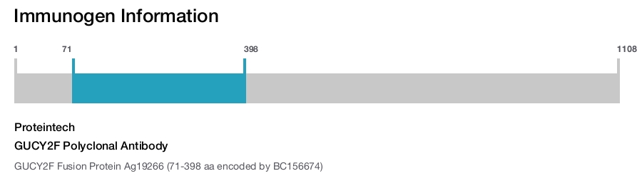 GUCY2F Polyclonal Antibody