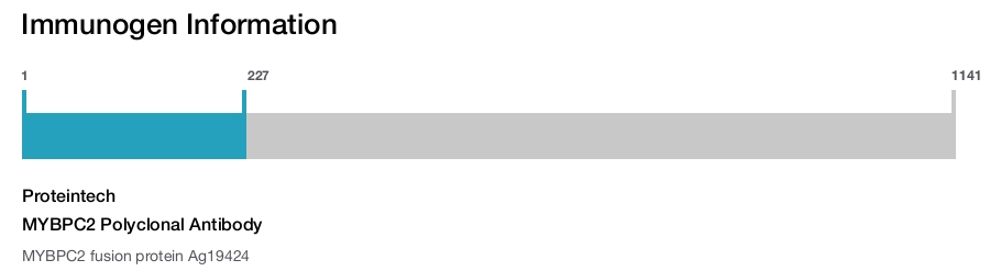 MYBPC2 Polyclonal Antibody