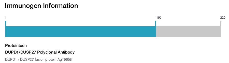 DUPD1/DUSP27 Polyclonal Antibody