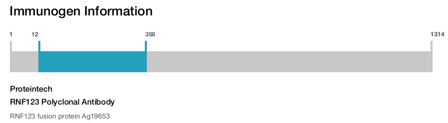 RNF123 Polyclonal Antibody