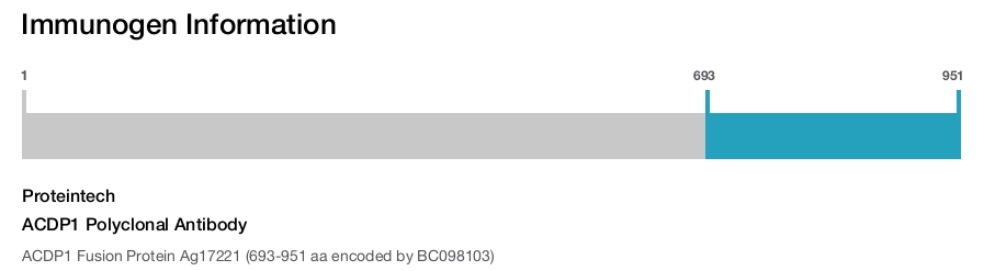 ACDP1 Polyclonal Antibody
