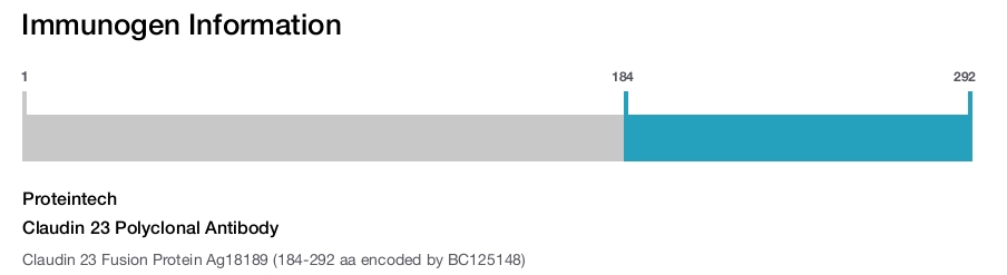 Claudin 23 Polyclonal Antibody