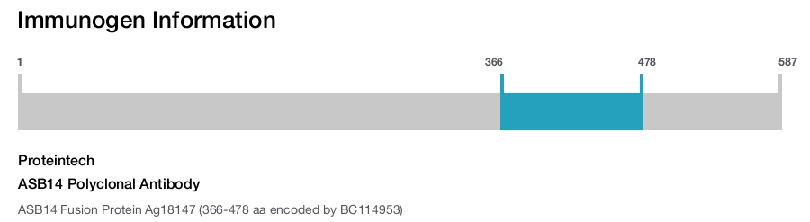 ASB14 Polyclonal Antibody