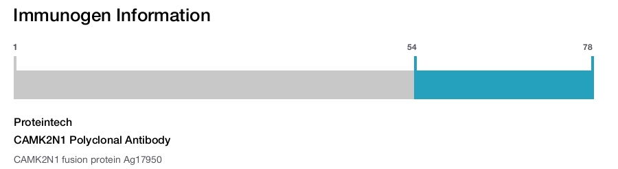 CAMK2N1 Polyclonal Antibody