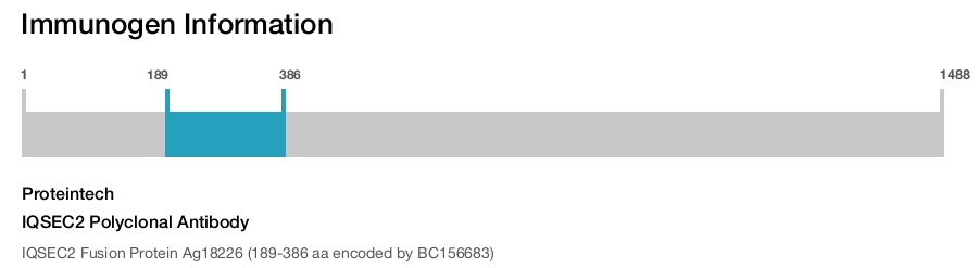 IQSEC2 Polyclonal Antibody