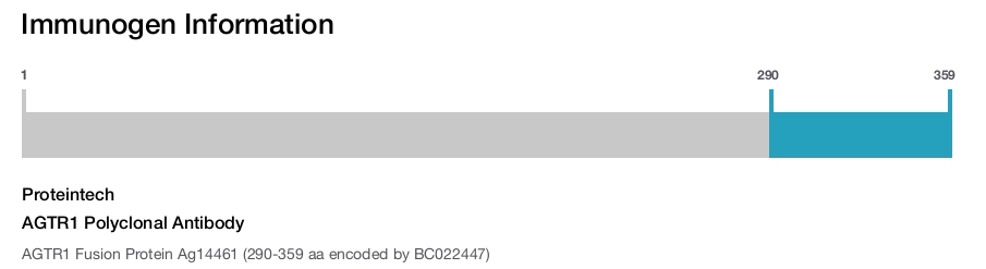 AGTR1 Polyclonal Antibody