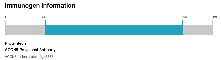 ACCN5 Polyclonal Antibody
