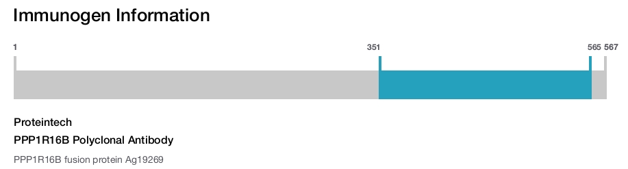 PPP1R16B Polyclonal Antibody