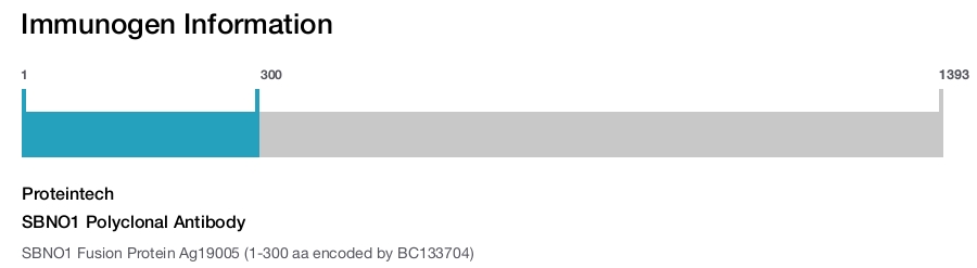 SBNO1 Polyclonal Antibody